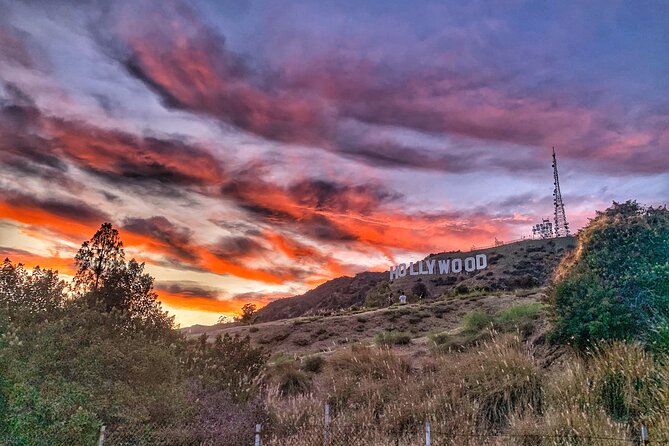 Quick and Easiest Route to the Hollywood Sign Walk (1 Hour) - Tour Details