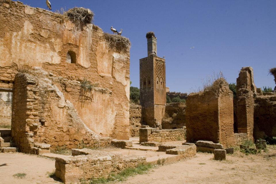 Rabat: Full-Day Trip From Casablanca