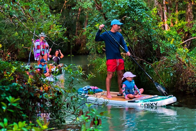 Rainbow Springs Paddle Board Adventure Review