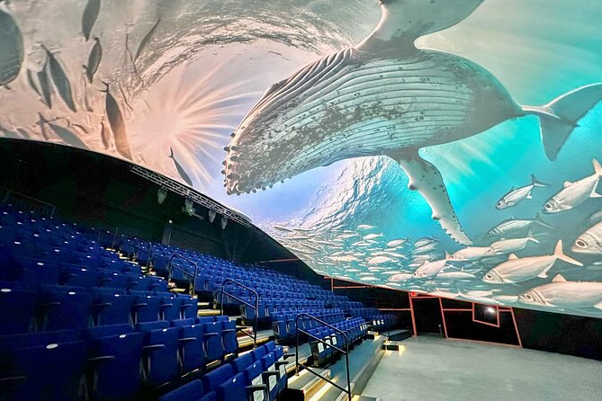 Raptor Encounters and Immersive Dome Experience Review
