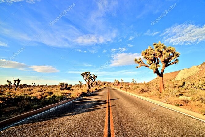 Ras Mohamed National Park Half Day by Bus – Sharm El Sheikh