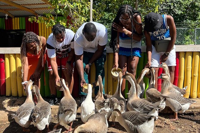 Rastafari Cultural Experience With Herb Garden & Animal Farm Tour - Exploring the Rastafarian Lifestyle