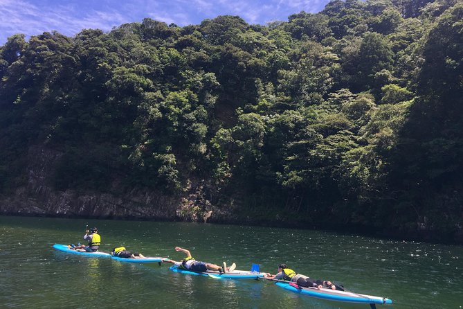 [Recommended on Arrival Date or Before Leaving! ] Relaxing and Relaxing Water Walk Awakawa River SUP [Half-Day Tour]