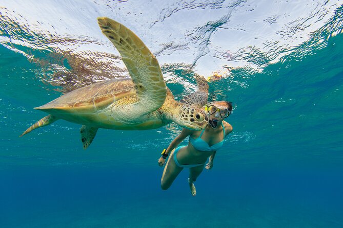 Reef Glass Bottom & Snorkel Tour