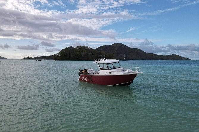 Reef Safari – Snorkeling, Fish Feeding & Lunch (Private Day Trip)
