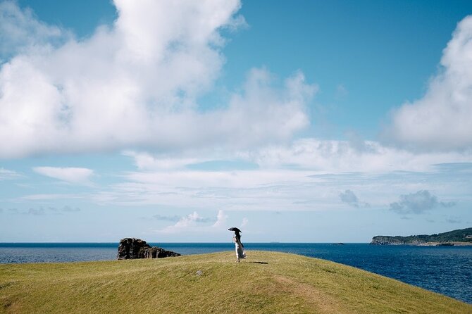 Rent a Car and Explore the Island of the Gods, the Iki Island - Vehicle and Transportation Details