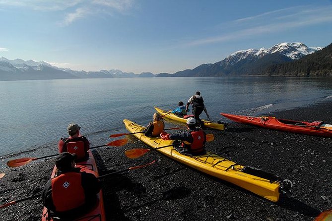 Resurrection Bay Kayaking Adventure - Explore Sewards Natural Wonders