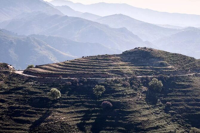 Rethymno Luxury Jeep Tour in Cretan Viniculture and Olive Farming - Exploring Rethymnos Scenic Landscape