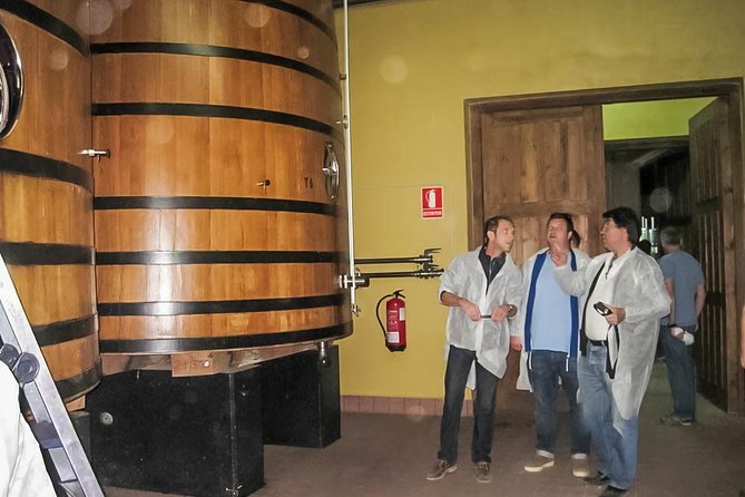 Ribera Del Duero From Madrid Full Day
