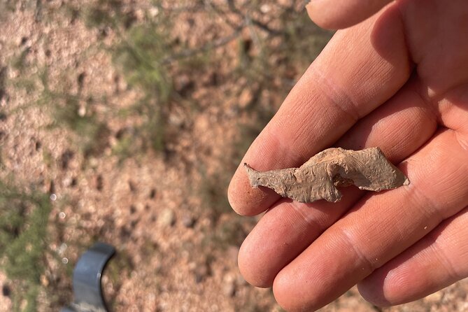 Rockhounding in Bisbee