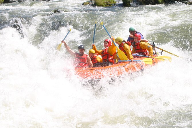 Rogue River Whitewater- Morning Rafting Adventure