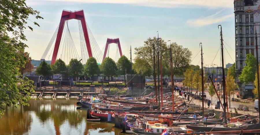 Rotterdam Discovery Walk: Iconic Markets & Modern Marvels - Tour Overview