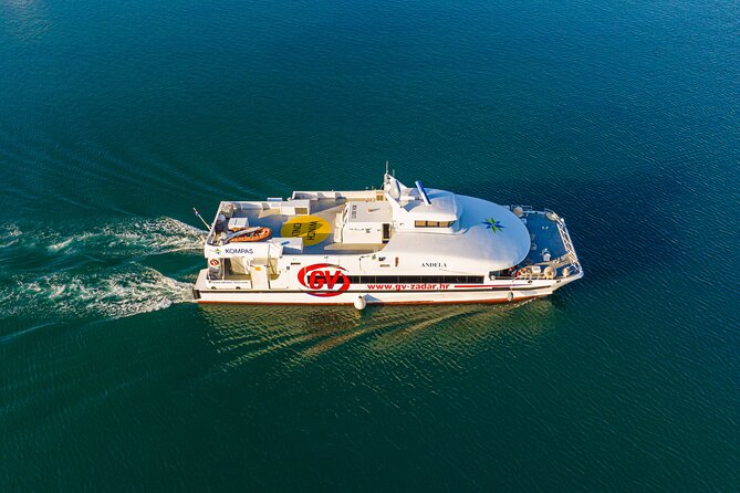 Rovinj to Venice Day Trip by High-Speed Catamaran