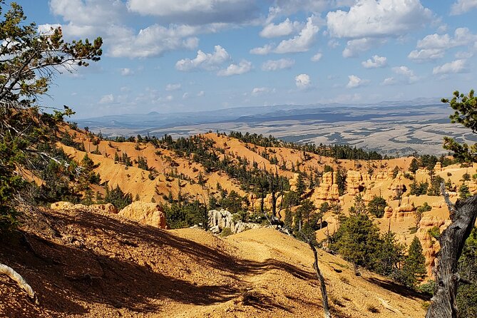 Rubys Horseback Adventures Utah Thunder Mt. 4 Hour Ride - Escape the Park Crowds