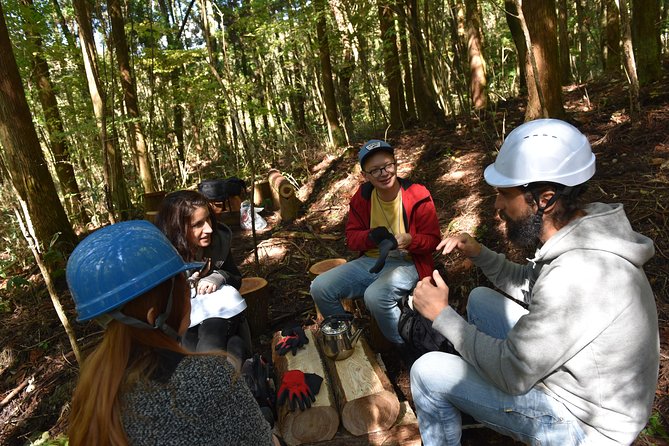 Rural Forestry Tour in Aso Minamioguni - Tour Overview