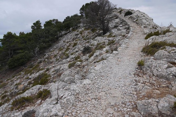 Sa Travessa, the Grand Route in Four Days (Gr221)
