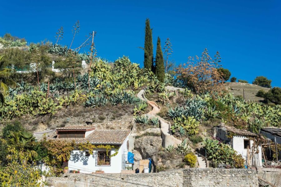 Sacromonte Caves Museum Admission Ticket