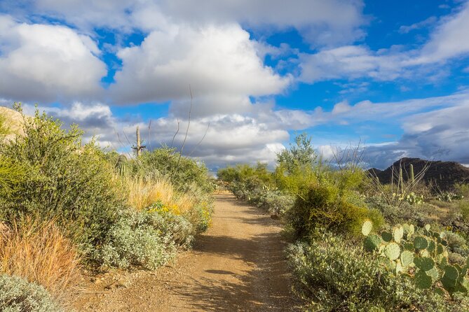 Saguaro National Park Audio Tour Review