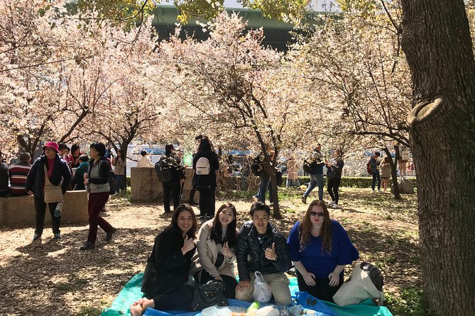 Sakura Picnic Hanami in Osaka – Spring Only