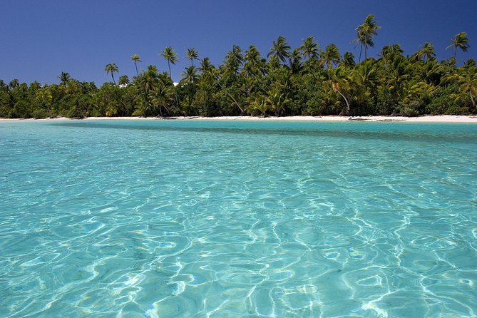 Samana Full Day Trip From Punta Cana
