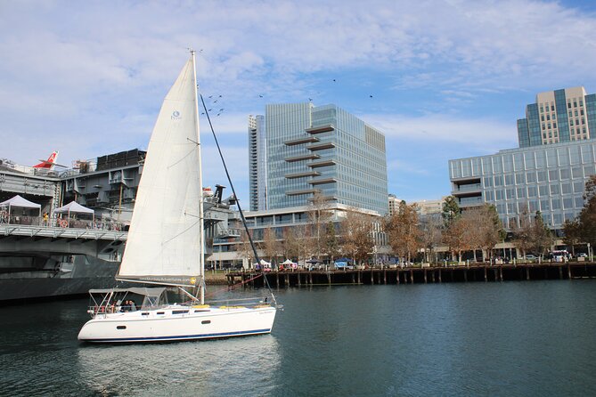 San Diegos First Ever Family Sailing Tours - About Sea Monkey Adventures