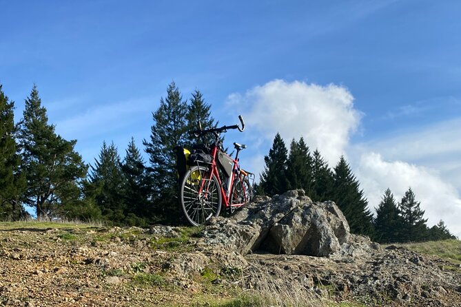 San Francisco E-bike Tour on Scenic Trails Review - Tour Overview