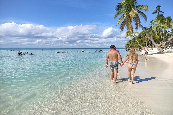 Saona Island Day Trip From Punta Cana With Pick up and Open Bar - Overview of Saona Island Trip