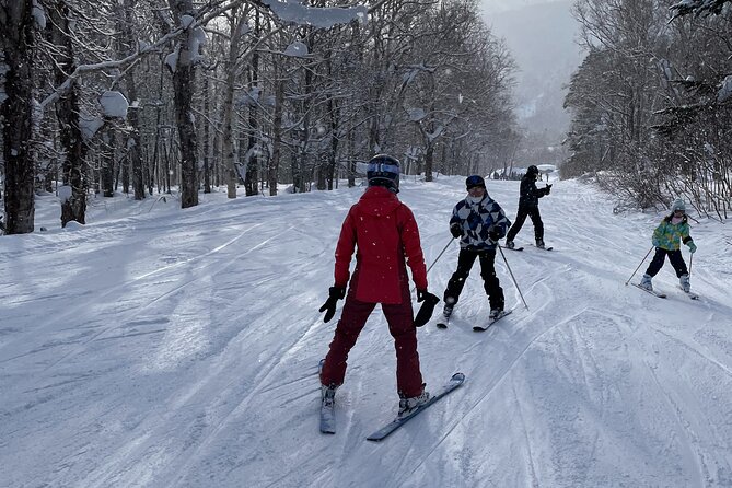 Sapporo Private Ski/ Snowboard Lesson With Pick-Up Service