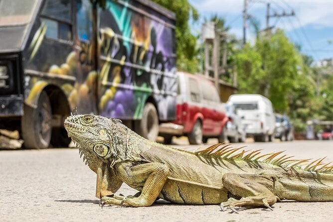 Sayulita Beach Day Trip From Puerto Vallarta