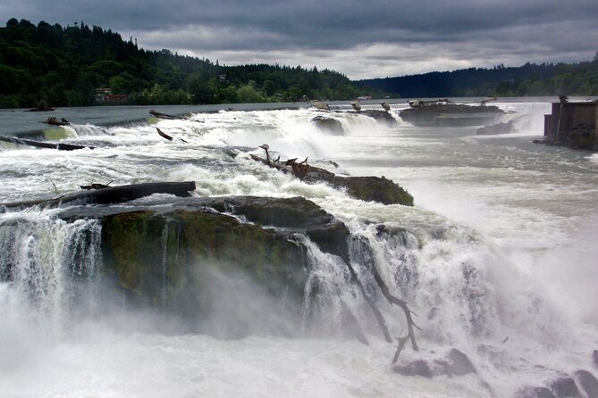 Scenic 2-Hour River Cruise to the Majestic Willamette Falls!