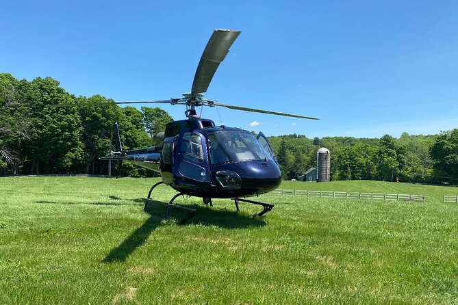 Scenic Lakeside Proposal Helicopter Review