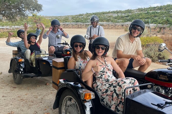 Scenic Sidecar Vineyard Adventure San Luis Obispo