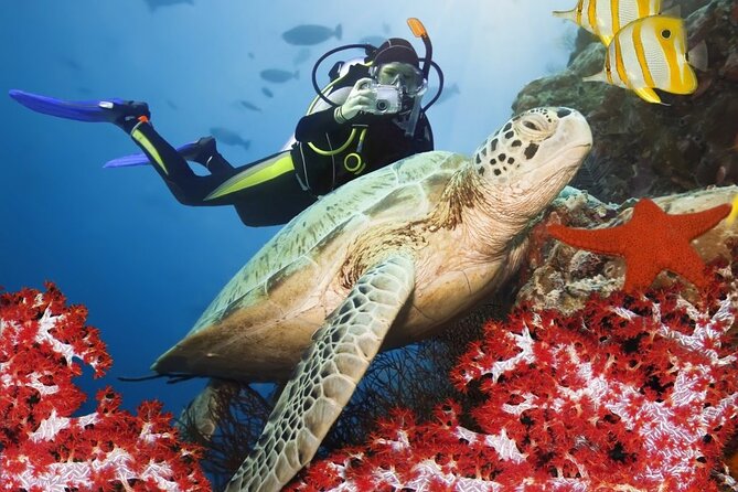 Scuba Diving Adventure in Alanya With Lunch & Hotel Transfer