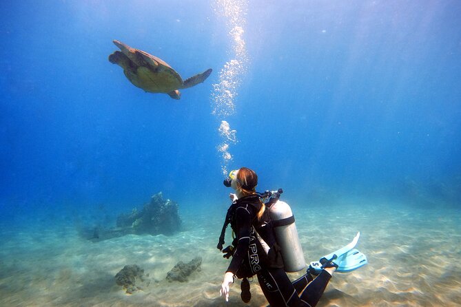 Scuba Diving in Maui With No Experience Needed - Overview of the Scuba Diving Experience in Maui