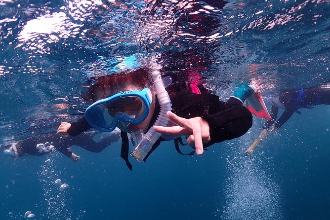 Scuba Diving & Snorkeling