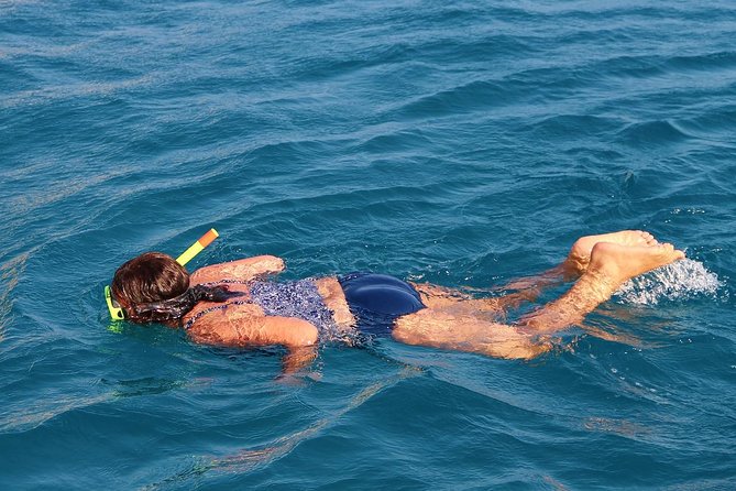 Sea Turtles and Sea Cows While Snorkeling in Port Ghalib