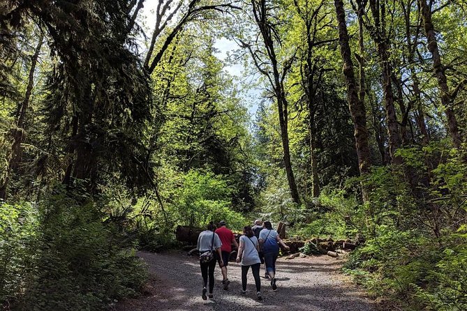 Seattle Wine and Waterfall Luxury Small-Group Day Tour With Lunch