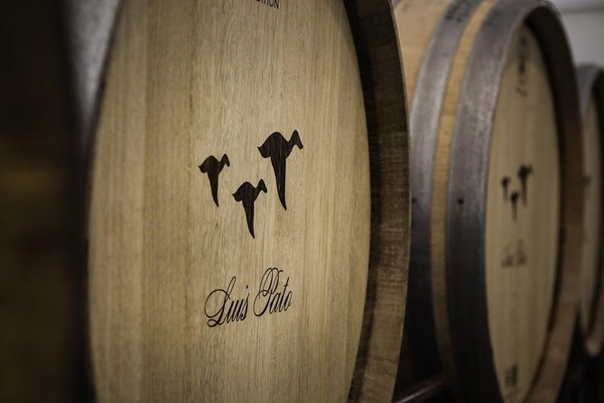 Self-drive Wine Tour in Bairrada Region