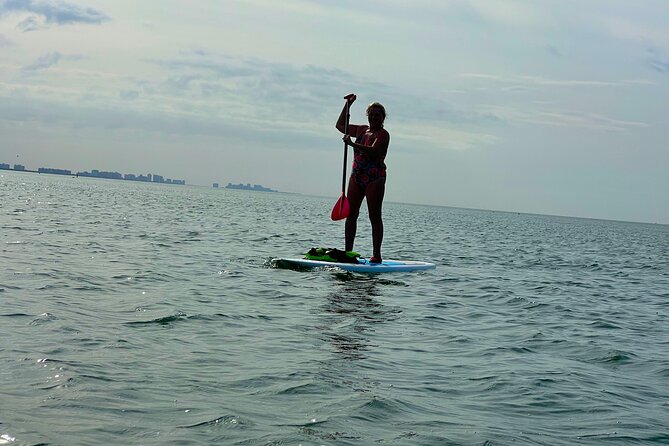 Self Guided Standup Paddle Board EcoTour -Bonita Springs - Exploring the Mangroves