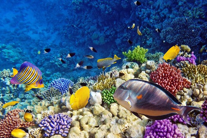Semi-Submarine Underwater Tour From Hurghada