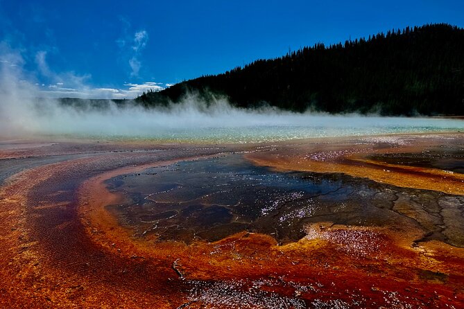 Seniors Special May 2025 Yellowstone Lower Loop Tours From Cody