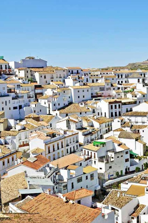 Seville: Day Trip to White Towns of Andalusia
