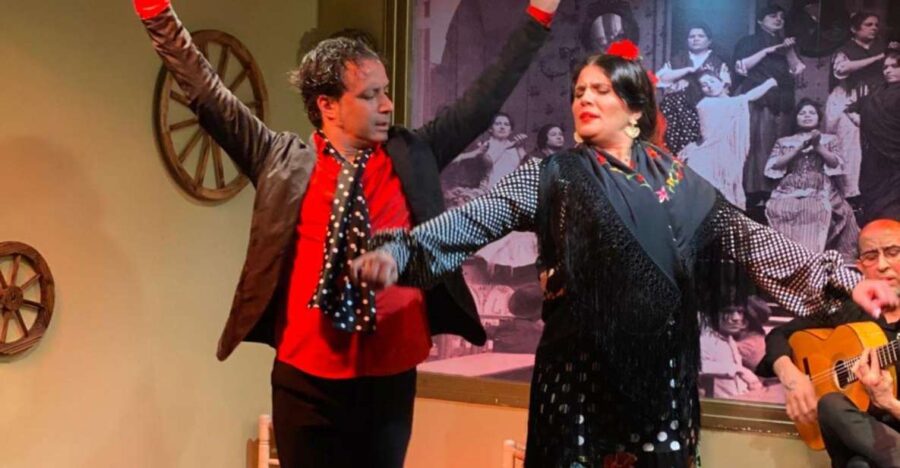 Seville: Flamenco Show at Tablao La Cantaora - Flamenco Show Experience Overview