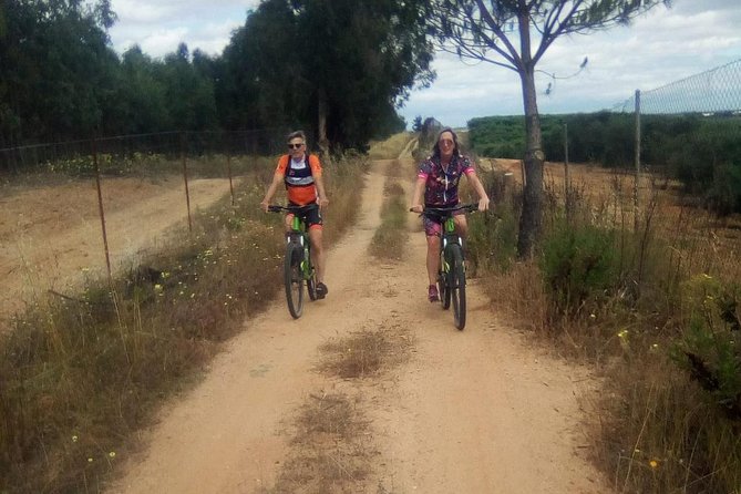 Seville Mountain Bike Tour Dehesa De Abajo Doñana