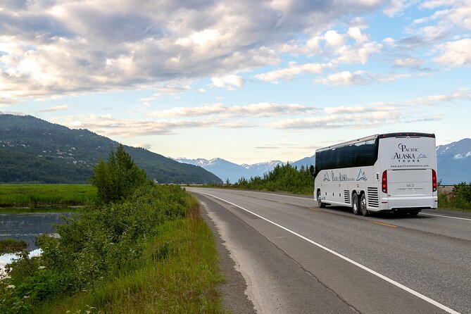 Seward to Anchorage Wildlife Adventure