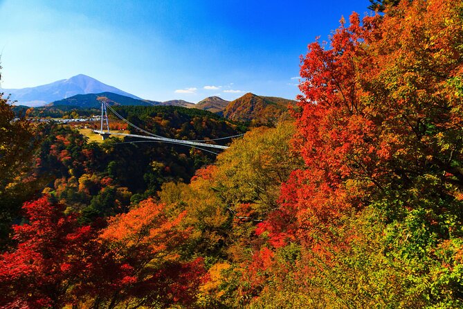 Shared Minibus Tour From Fukuoka to Kokonoe and Yufuin, Beppu