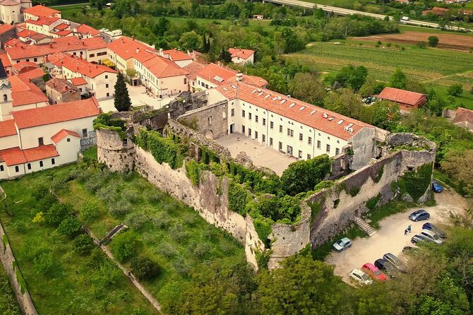 Shared or Small Group Wine Tasting Experience in Slovenia