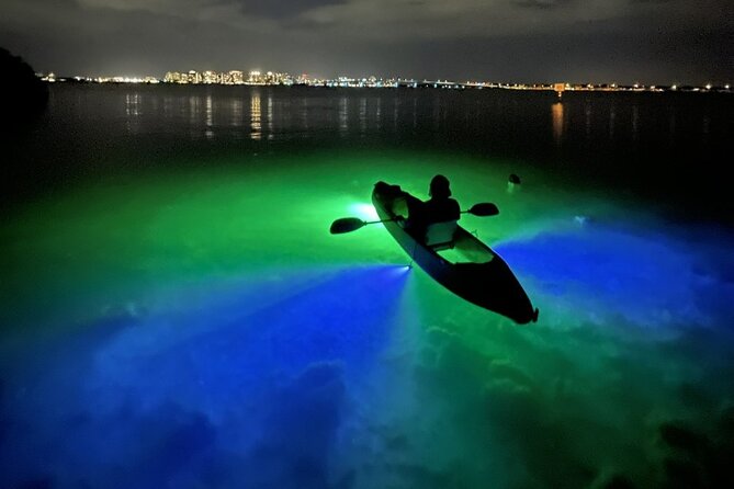 Sharkeys Glass Bottom Fish Feeding LED Night Tour in Sarasota