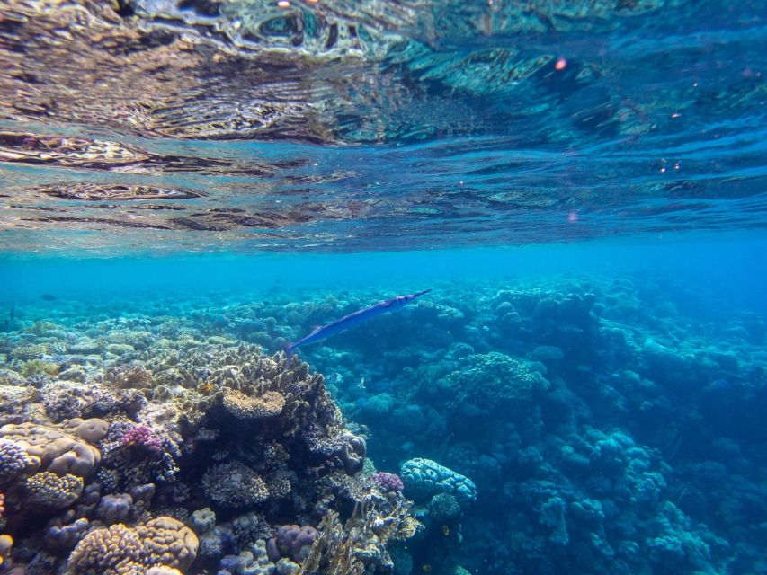 Sharm El Sheikh: Luxury Boat Cruise With Snorkeling & Lunch - Activity Overview