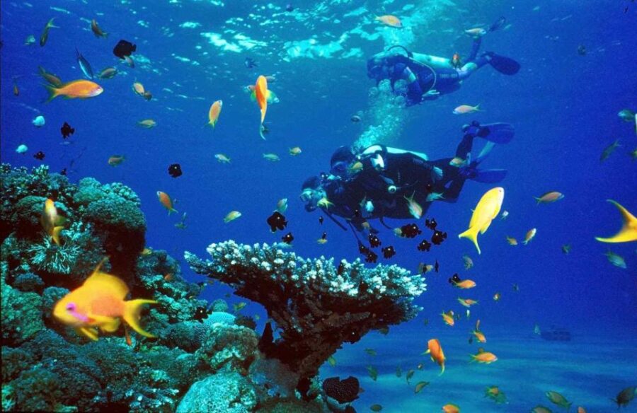 Sharm El-Sheikh Port to Ras Mohamed National Park by Car